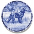 German Longhaired Pointer